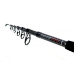 Formax - Lanseta Tactic Tele 3,0m / 40-80g - imagine 2