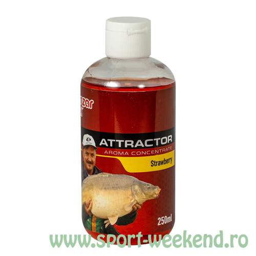 benzar_mix_-_attractor_aroma_concentrate_250ml_-_capsuna.jpg Benzar Mix - Attractor Aroma Concentrate 250ml - Capsuni - imagine 1
