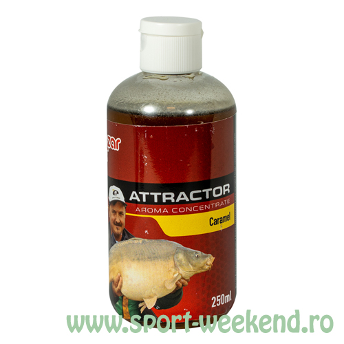 benzar_mix_-_attractor_aroma_concentrate_250ml_-_caramel.jpg Benzar Mix - Attractor Aroma Concentrate 250ml - Caramel - imagine 1