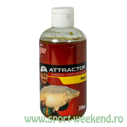 benzar_mix_-_attractor_aroma_concentrate_250ml_-_miere.jpg Benzar Mix - Attractor Aroma Concentrate 250ml - Miere - imagine 1