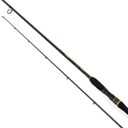 Formax - Lanseta Aries Spin 2,58m / 30-70g