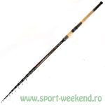 Formax - Lanseta Elegance Telematch 4,20m 5-25g