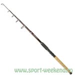 Formax - Lanseta Thunder Tele 3,3m / 50-100gr