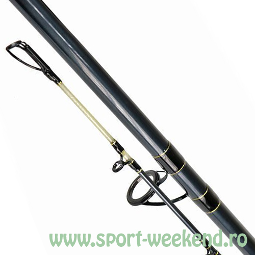 formax_-_rod_tactic_cat_2_70_m2.jpg Formax - Lanseta Tactic Cat 2,7m / 100-300g - imagine 1