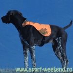 Raptor HS - Vesta semnalizare pentru caini