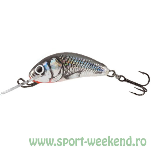 salmo_-_vobler_hornet_3_-_hgs.jpg Salmo - Vobler Hornet Floating 3cm - HGS - imagine 1