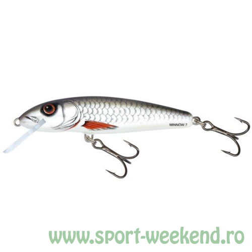 salmo_-_vobler_minnow_dac_2.jpg Salmo - Vobler Minnow Sinking 7cm - DAC - imagine 1