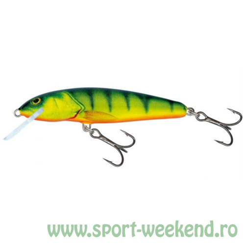 salmo_-_vobler_minnow_hp_2.jpg Salmo - Vobler Minnow Sinking 7cm - HPH - imagine 1
