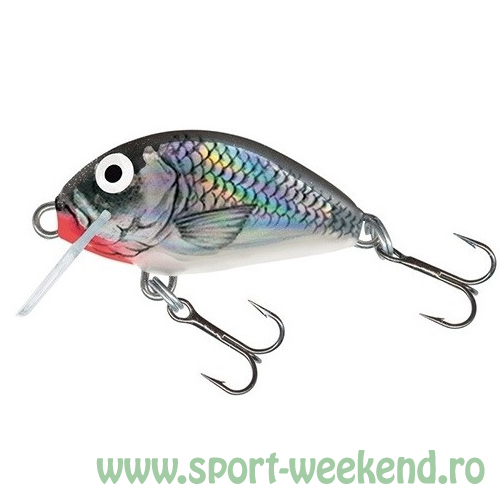 salmo_-_vobler_tiny_floating_3cm_-_hgs_2.jpg Salmo - Vobler Tiny Sinking 3cm - HGS - imagine 1