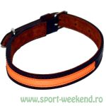 Tapel - Zgarda Cu Banda Fluorescenta 34cm